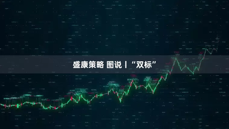 盛康策略 图说丨“双标”