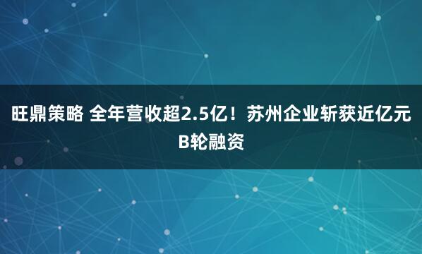 旺鼎策略 全年营收超2.5亿！苏州企业斩获近亿元B轮融资