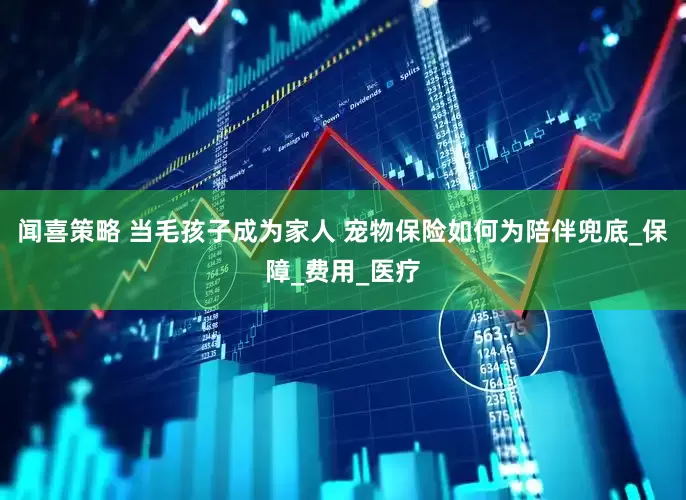 闻喜策略 当毛孩子成为家人 宠物保险如何为陪伴兜底_保障_费用_医疗